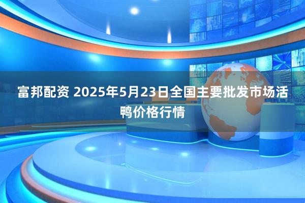 富邦配资 2025年5月23日全国主要批发市场活鸭价格行情