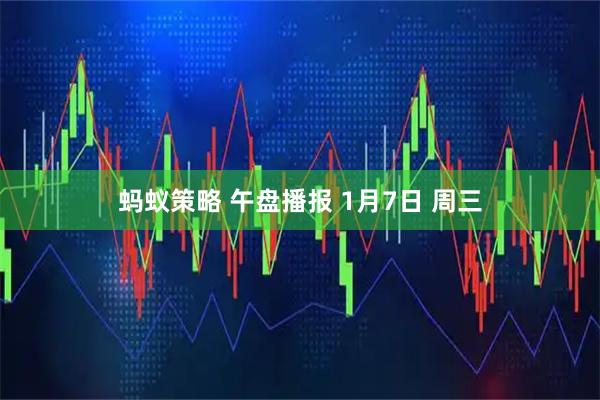 蚂蚁策略 午盘播报 1月7日 周三