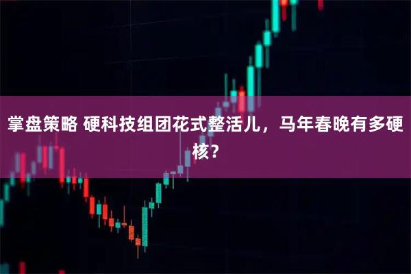 掌盘策略 硬科技组团花式整活儿，马年春晚有多硬核？