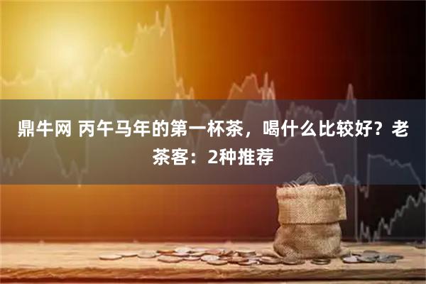 鼎牛网 丙午马年的第一杯茶，喝什么比较好？老茶客：2种推荐