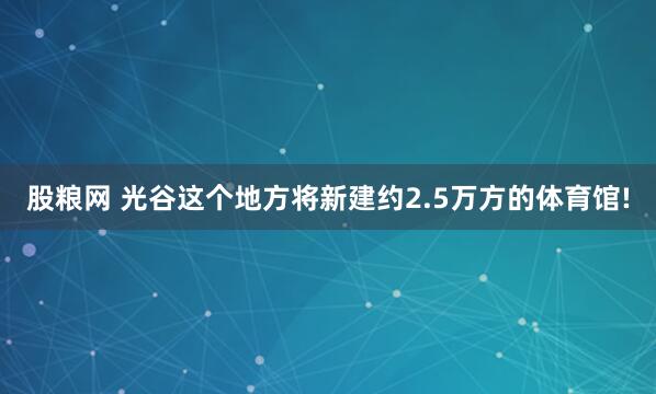 股粮网 光谷这个地方将新建约2.5万方的体育馆!